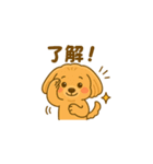 とっても可愛いマルプー（個別スタンプ：24）
