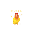 コザクラインコ♡日常使えるスタンプ♡（個別スタンプ：21）