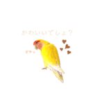 コザクラインコ♡日常使えるスタンプ♡（個別スタンプ：28）
