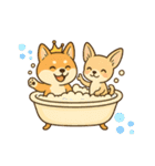柴王とチワワ王の1日（個別スタンプ：11）