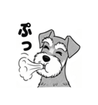 シュナウザーのあいさつスタンプ（個別スタンプ：7）