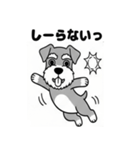 シュナウザーのあいさつスタンプ（個別スタンプ：19）