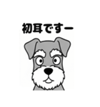 シュナウザーのあいさつスタンプ（個別スタンプ：20）
