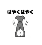 シュナウザーのあいさつスタンプ（個別スタンプ：26）
