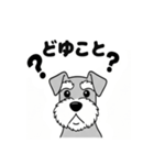 シュナウザーのあいさつスタンプ（個別スタンプ：32）