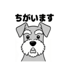 シュナウザーのあいさつスタンプ（個別スタンプ：33）