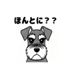 シュナウザーのあいさつスタンプ（個別スタンプ：37）