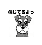 シュナウザーのあいさつスタンプ（個別スタンプ：38）