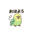 ふんわり小鳥の日常スタンプ（個別スタンプ：1）