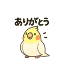 ふんわり小鳥の日常スタンプ（個別スタンプ：3）