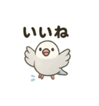 ふんわり小鳥の日常スタンプ（個別スタンプ：5）
