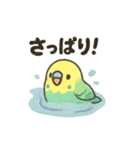 ふんわり小鳥の日常スタンプ（個別スタンプ：8）