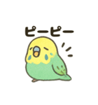 ふんわり小鳥の日常スタンプ（個別スタンプ：11）