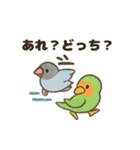 ふんわり小鳥の日常スタンプ（個別スタンプ：13）