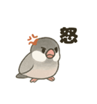ふんわり小鳥の日常スタンプ（個別スタンプ：15）