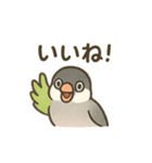 ふんわり小鳥の日常スタンプ（個別スタンプ：36）