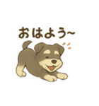 ミニシュナの毎日スタンプ3（個別スタンプ：1）