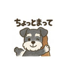 かわいいミニチュアシュナウザースタンプ（個別スタンプ：11）