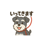 かわいいミニチュアシュナウザースタンプ（個別スタンプ：12）