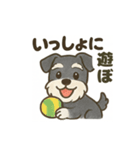 かわいいミニチュアシュナウザースタンプ（個別スタンプ：13）