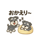 かわいいミニチュアシュナウザースタンプ（個別スタンプ：15）