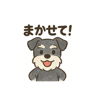 かわいいミニチュアシュナウザースタンプ（個別スタンプ：16）