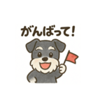 かわいいミニチュアシュナウザースタンプ（個別スタンプ：17）