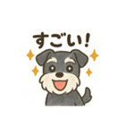 かわいいミニチュアシュナウザースタンプ（個別スタンプ：18）