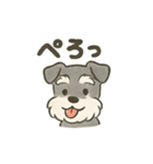 かわいいミニチュアシュナウザースタンプ（個別スタンプ：20）