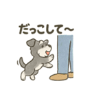かわいいミニチュアシュナウザースタンプ（個別スタンプ：27）