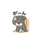 かわいいミニチュアシュナウザースタンプ（個別スタンプ：31）