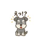 かわいいミニチュアシュナウザースタンプ（個別スタンプ：32）