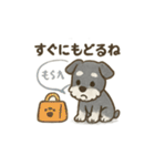 かわいいミニチュアシュナウザースタンプ（個別スタンプ：35）