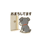 かわいいミニチュアシュナウザースタンプ（個別スタンプ：36）