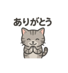 脱力アメショのゆるっと毎日（個別スタンプ：3）