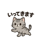 脱力アメショのゆるっと毎日（個別スタンプ：6）