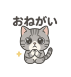 脱力アメショのゆるっと毎日（個別スタンプ：7）