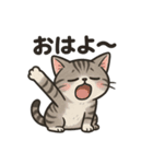 脱力アメショのゆるっと毎日（個別スタンプ：10）