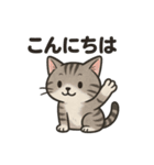 脱力アメショのゆるっと毎日（個別スタンプ：18）