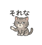 脱力アメショのゆるっと毎日（個別スタンプ：19）