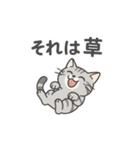 脱力アメショのゆるっと毎日（個別スタンプ：22）