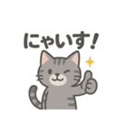 脱力アメショのゆるっと毎日（個別スタンプ：25）