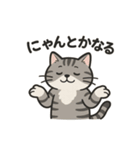 脱力アメショのゆるっと毎日（個別スタンプ：28）