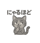 脱力アメショのゆるっと毎日（個別スタンプ：30）