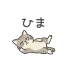 脱力アメショのゆるっと毎日（個別スタンプ：32）