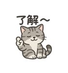 脱力アメショのゆるっと毎日（個別スタンプ：37）