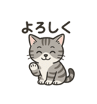 脱力アメショのゆるっと毎日（個別スタンプ：38）