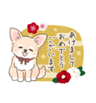 【年末年始】チワワちゃん年賀スタンプ再販（個別スタンプ：2）