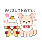 【年末年始】チワワちゃん年賀スタンプ再販（個別スタンプ：3）