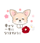 【年末年始】チワワちゃん年賀スタンプ再販（個別スタンプ：7）